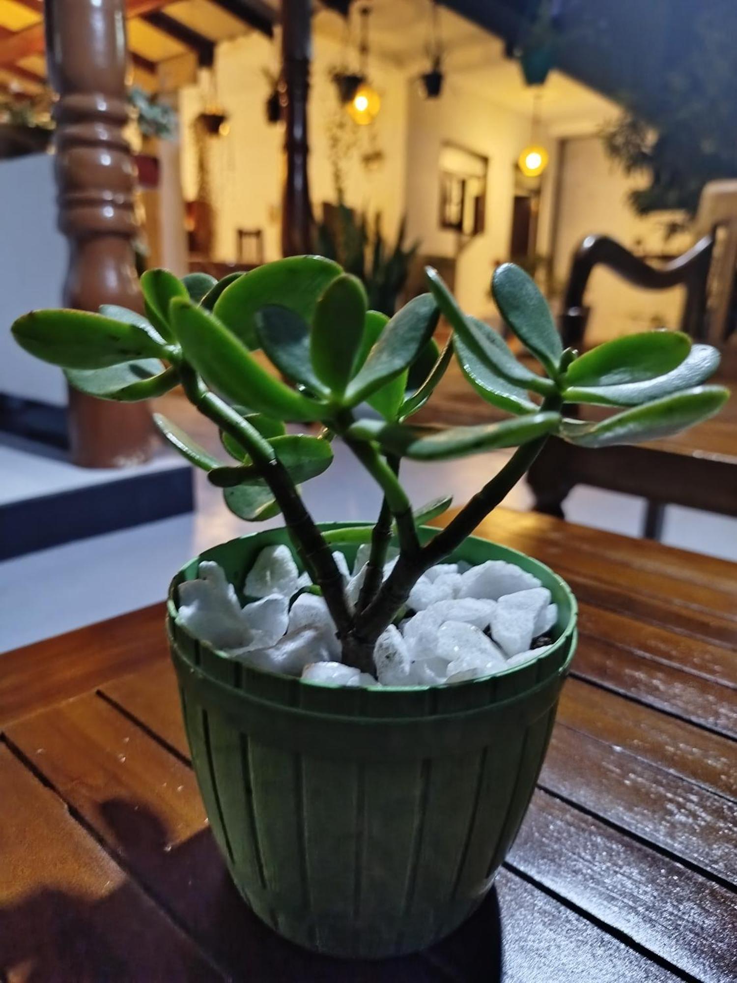 Little Villa Guest House Ахангама Экстерьер фото